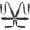 BELT 6PT P3 HANS TITANIUM - image 1