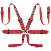 BELT 6PT P3 HANS TITANIUM - image 1