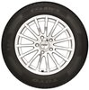 Celsius CUV A All-Season Radial Tire 275/50R20 - image 2