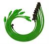 8MM SPIRO-PRO CUSTOM 8 CY - image 1
