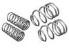 WSK-FRD009 Performance Lowering Springs for 2012-2018 Ford Focus ST - image 3