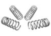 WSK-NIS002 Performance Lowering Springs for 2009-2019 Nissan 370Z - image 2