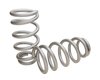 GM Style Flat & Ground Large High-Tensile Spring 10" - image 2