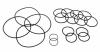Service O-Ring Kit for Lil Bertha Fuel Pump - image 1