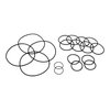 Service O-Ring Kit for Lil Bertha Fuel Pump - image 2