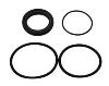 Service Rear Seal & O-Rings for Lil Bertha & Nostalgia Bertha Fuel Pumps - image 1