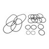Service EPDM O-Ring Kit for Lil Bertha Fuel Pump - image 3