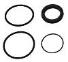 Service Rear Seal & EPDM O-Ring Kit for Lil Bertha & Nostalgia Bertha Fuel Pumps - image 1