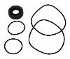 Service Seal & O-Ring Kit for Super Sprint Fuel Pump - image 1