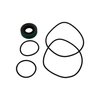 Service Seal & O-Ring Kit for Super Sprint Fuel Pump - image 2