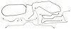 CBL916S 1974 Chevrolet Corvette Full Brake Line Set [Stainless Steel]