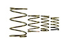 TS-0550-3150 GenV WG38/40 Spring Replacement Kit, Universal - image 1