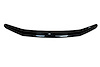 BUGFLECTOR II 2002-2009 Trailblazer - image 1