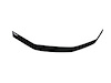Aeroskin Hood Protector Smoke - image 1