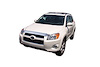 Aeroskin Hood Protector Chrome - image 1