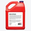 2933 Bar & Chain Oil Gallon - image 2
