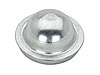 Dust Cap GM Metric - image 1