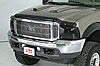 Bug Shield 2004-07 F-150 - image 1