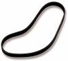 DRIVE BELT 10RIB BBC STD - image 1