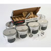 Pro Tru Street Pistons for Chevy Small Block [Dome, 4.030 in. Bore, 1.560 in. Height, 8.000 CC Volume] - image 1