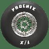 PHOENIX 14.5X32.0-15 Radial Slick Compound	F9 - image 2