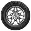 Polar Trax Gen2 Winter Tire, 195/65R15XL, 95T [Blackwall] - image 4
