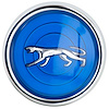 COUGAR CAP BLUE FITS 24 S - image 1