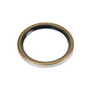 KIT SVC SEAL OIL RADIAL - image 1
