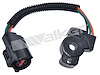 Ford 8 1996-1998 / Mercury 8 1997-1998 - image 1