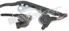 CRANK POSITION SENSOR - image 4