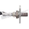 O2 Oxygen Sensor - image 3