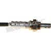 O2 SENSOR - image 3