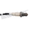 O2 Oxygen Sensor - image 4