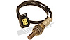 O2 Oxygen Sensor