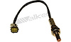 O2 Oxygen Sensor