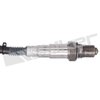 O2 Oxygen Sensor - image 3