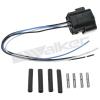O2 WIRING HARNESS PIGTAIL - image 1