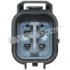 O2 WIRING HARNESS PIGTAIL - image 1