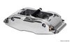Caliper-BNSL6R-Polished - image 2