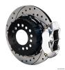 Forged Dynalite Pro Series Brake Kit Rear End: Big Ford New Style Flange - image 1