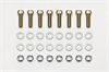 Bolt Kit Rotor with Locknut 8 pk. - image 1