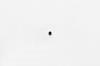BOLT 1/4-20X5/16 LG SOCKE - image 1