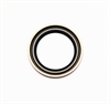 Oil Seal