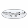 10964 Chrome Oval Emblem - 3D Eagle - image 1