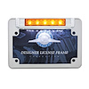 MOTORCYCLE CHROME LICENSE - image 1