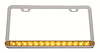 LICENSE FRAME W/ 14 AMBER - image 1