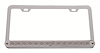 LICENSE FRAME W/ 14 AMBER - image 1