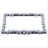 CHROME SKULLS LICENSE PLA - image 1