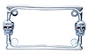 CHROME DESIGNER SKULL MOT - image 1