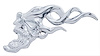 CHROME PLASTIC FLAMING SK - image 1